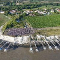 Un Violon sur la Ville - Le Off - falaise de Talmont ©Arnaud de la Chenais