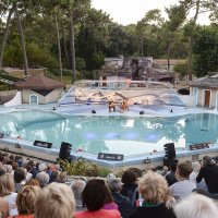 Un Violon sur la Ville - Zoo de la Palmyre ©Xavier Renaudin