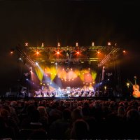 Un Violon sur le Sable ©Anthony Rosier