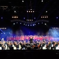 Un Violon sur le Sable ©Xavier Renaudin