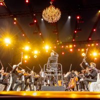 Un Violon sur le Sable ©Fotogriff