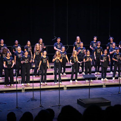 Acad'ôChoeur Chorale | Un Violon sur le sable